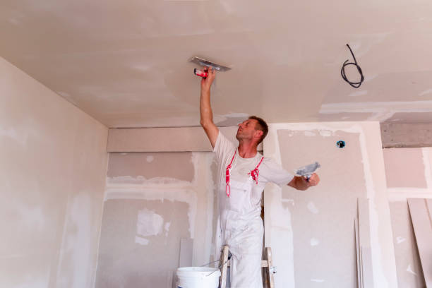 Best Cabinet Painting and Refinishing  in Bagdad, FL